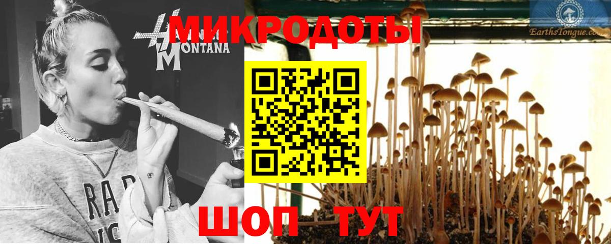 Элиста  Псилоцибиновые грибы Magic Shrooms  Вход с VPN 